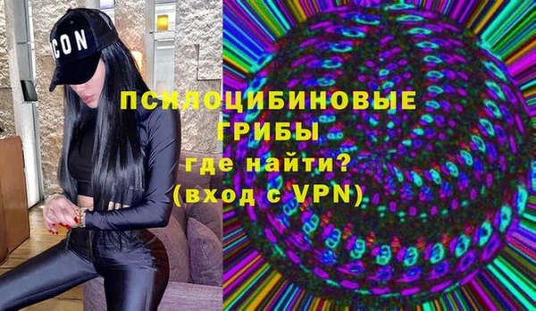 молекула духа Алексин